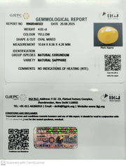 4.05/CT Natural Yellow Sapphire With Govt Lab Certificate (1221)